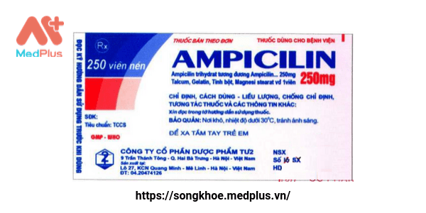 Ampicilin 250